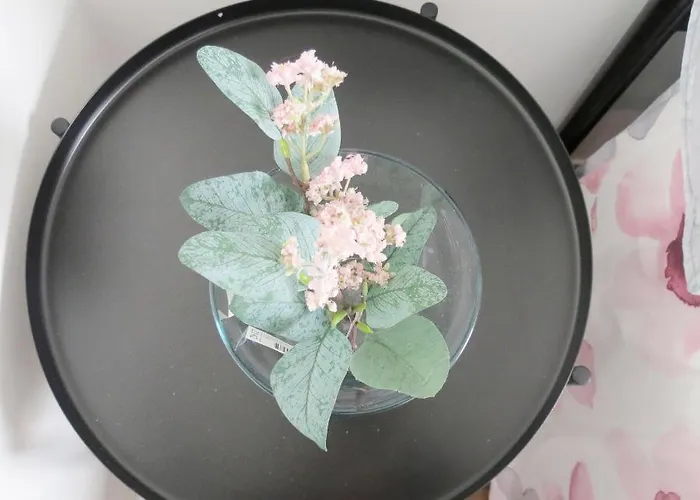 Piso Virgen Del Mar Laxe