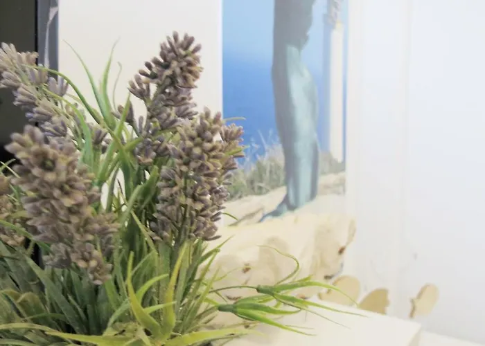 Apartman Piso Virgen Del Mar